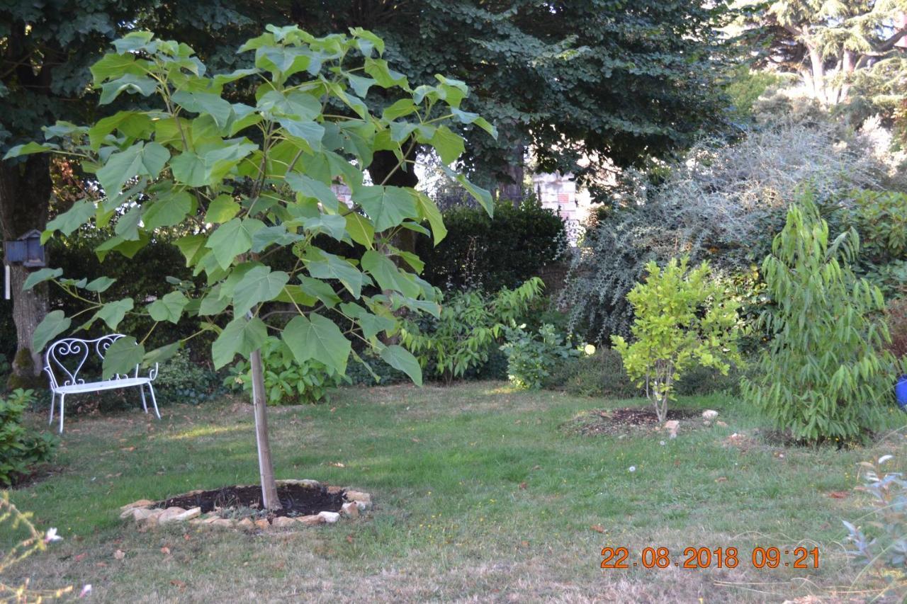 Hotel Le Castel Brissac-Quince Exteriör bild